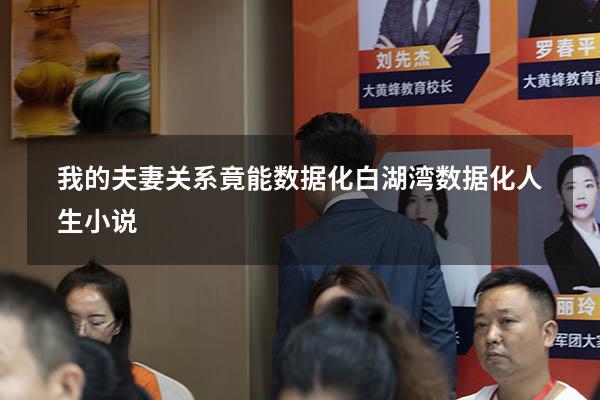 我的夫妻关系竟能数据化 白湖湾（数据化人生 小说）